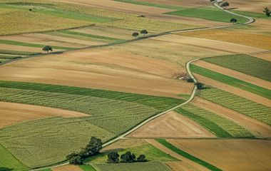 agriculture-3195381_1920